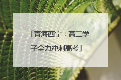 青海西宁：高三学子全力冲刺高考