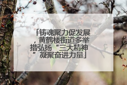 铸魂聚力促发展，黄鹤楼街道多举措弘扬“三大精神”凝聚奋进力量
