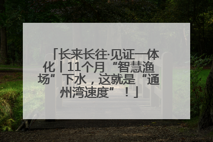 长来长往·见证一体化丨11个月“智慧渔场”下水，这就是“通州湾速度”！