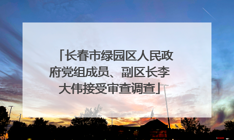 长春市绿园区人民政府党组成员、副区长李大伟接受审查调查