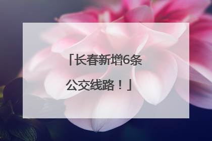 长春新增6条公交线路！