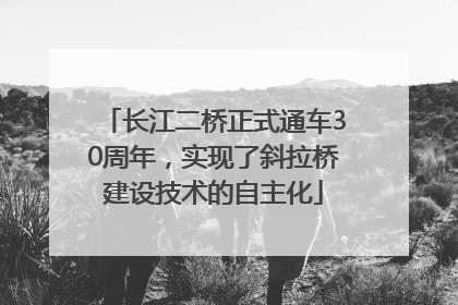 长江二桥正式通车30周年，实现了斜拉桥建设技术的自主化