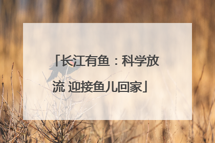 长江有鱼：科学放流 迎接鱼儿回家