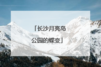 长沙月亮岛公园的蝶变
