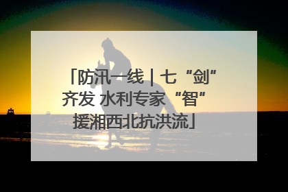 防汛一线｜七“剑”齐发 水利专家“智”援湘西北抗洪流
