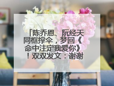 陈乔恩、阮经天同框撑伞，梦回《命中注定我爱你》！双双发文：谢谢我们都没变