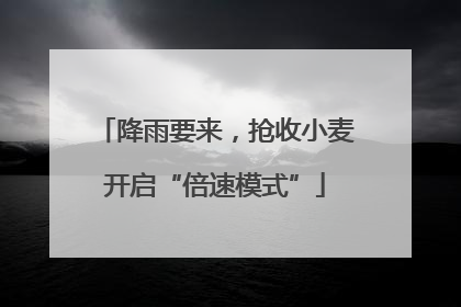 降雨要来，抢收小麦开启“倍速模式”