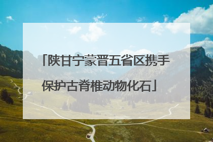 陕甘宁蒙晋五省区携手保护古脊椎动物化石