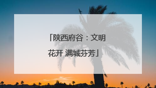陕西府谷：文明花开 满城芬芳