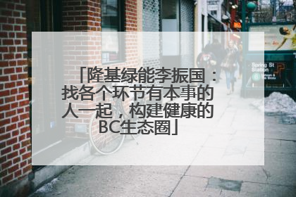 隆基绿能李振国：找各个环节有本事的人一起，构建健康的BC生态圈