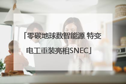 零碳地球数智能源 特变电工重装亮相SNEC