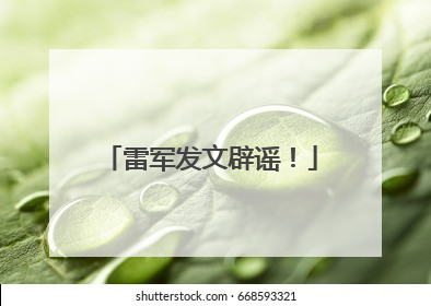 雷军发文辟谣！