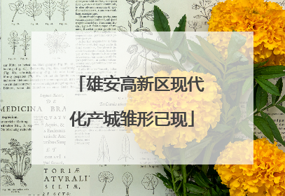 雄安高新区现代化产城雏形已现