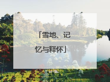 雪地、记忆与释怀