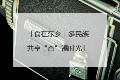 食在东乡：多民族共享“杏”福时光