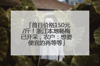 首日价格150元/斤！浙江本地杨梅已开采，农户：想要便宜的再等等