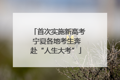 首次实施新高考 宁夏各地考生奔赴“人生大考”