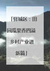 驿城区：田园瓜果香四溢 乡村产业谱新篇
