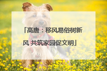 高唐：移风易俗树新风 共筑家园促文明
