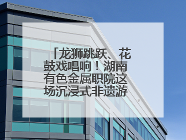 龙狮跳跃、花鼓戏唱响！湖南有色金属职院这场沉浸式非遗游园活动很带感