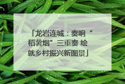 龙岩连城：奏响“稻薯烟”三重奏 绘就乡村振兴新图景