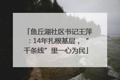 鱼丘湖社区书记王萍：14年扎根基层，“千条线”里一心为民