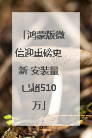 鸿蒙版微信迎重磅更新 安装量已超510万
