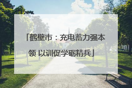 鹤壁市：充电蓄力强本领 以训促学砺精兵