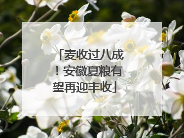 麦收过八成！安徽夏粮有望再迎丰收