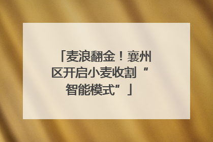 麦浪翻金！襄州区开启小麦收割“智能模式”