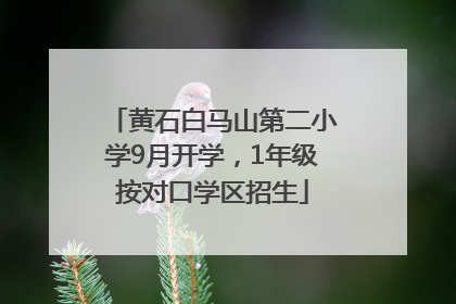 黄石白马山第二小学9月开学，1年级按对口学区招生