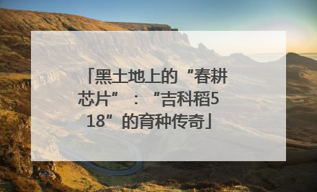 黑土地上的“春耕芯片”：“吉科稻518”的育种传奇