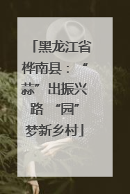 黑龙江省桦南县：“蒜”出振兴路 “园”梦新乡村