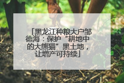 黑龙江种粮大户邹德海：保护“耕地中的大熊猫”黑土地，让增产可持续
