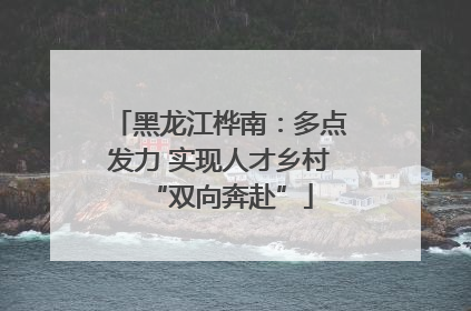 黑龙江桦南：多点发力 实现人才乡村“双向奔赴”