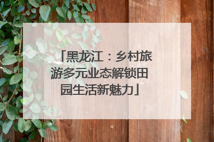 黑龙江：乡村旅游多元业态解锁田园生活新魅力