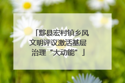黟县宏村镇乡风文明评议激活基层治理“大动能”