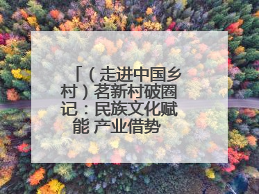 （走进中国乡村）茗新村破圈记：民族文化赋能 产业借势 “网红东风”