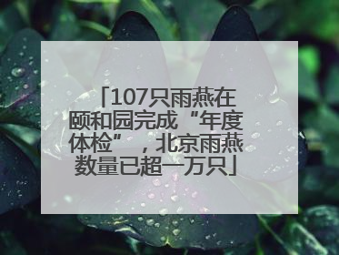 107只雨燕在颐和园完成“年度体检”，北京雨燕数量已超一万只