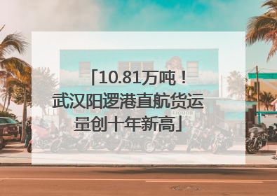 10.81万吨！武汉阳逻港直航货运量创十年新高