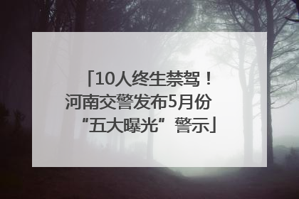 10人终生禁驾！河南交警发布5月份“五大曝光”警示