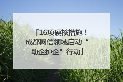 16项硬核措施！成都网信领域启动“助企护企”行动