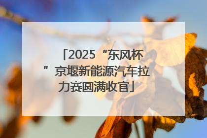 2025“东风杯”京堰新能源汽车拉力赛圆满收官