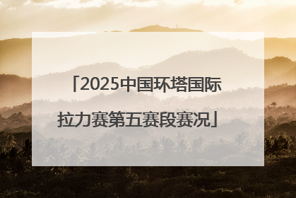 2025中国环塔国际拉力赛第五赛段赛况