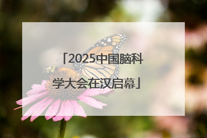 2025中国脑科学大会在汉启幕