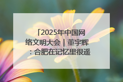2025年中国网络文明大会｜董宇辉：合肥在记忆里很遥远也很亲切