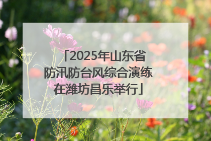 2025年山东省防汛防台风综合演练在潍坊昌乐举行