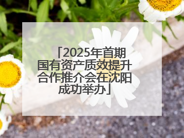 2025年首期国有资产质效提升合作推介会在沈阳成功举办
