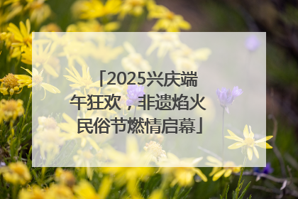 2025兴庆端午狂欢，非遗焰火民俗节燃情启幕