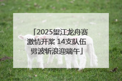 2025望江龙舟赛激情开桨 14支队伍劈波斩浪迎端午